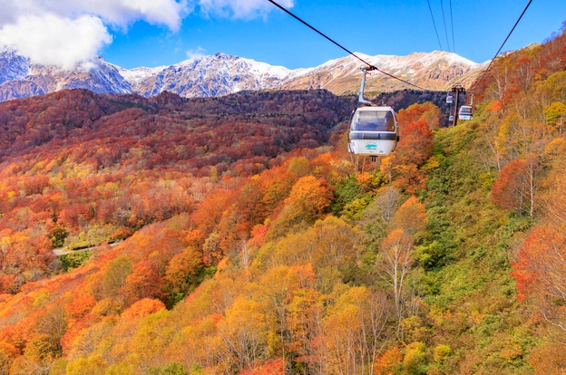 白馬村紅葉 交通