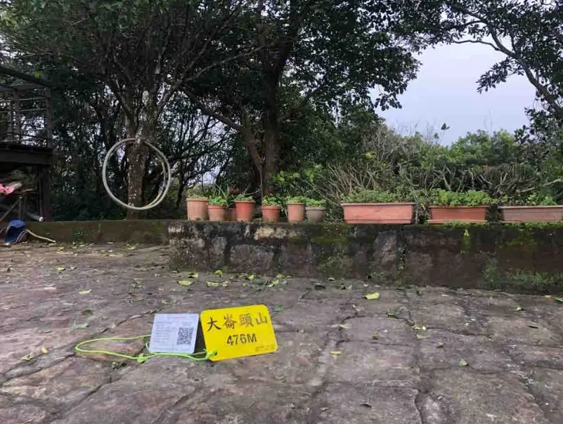 翠山步道難度評測：新手老手都能找到適合自己的路線嗎？