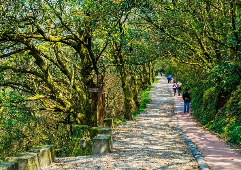 北部戶外景點推薦：從親子步道到登山秘境，一次掌握行程規劃與必訪清單