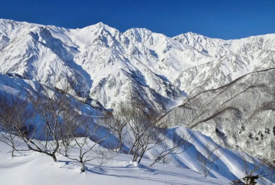 白馬八方尾根滑雪場