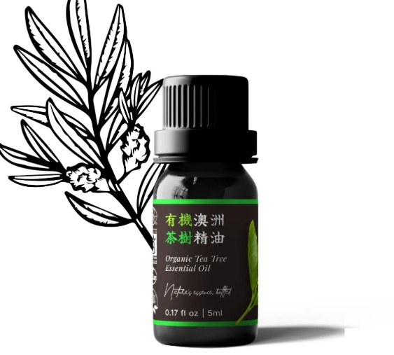茶樹精油 消炎