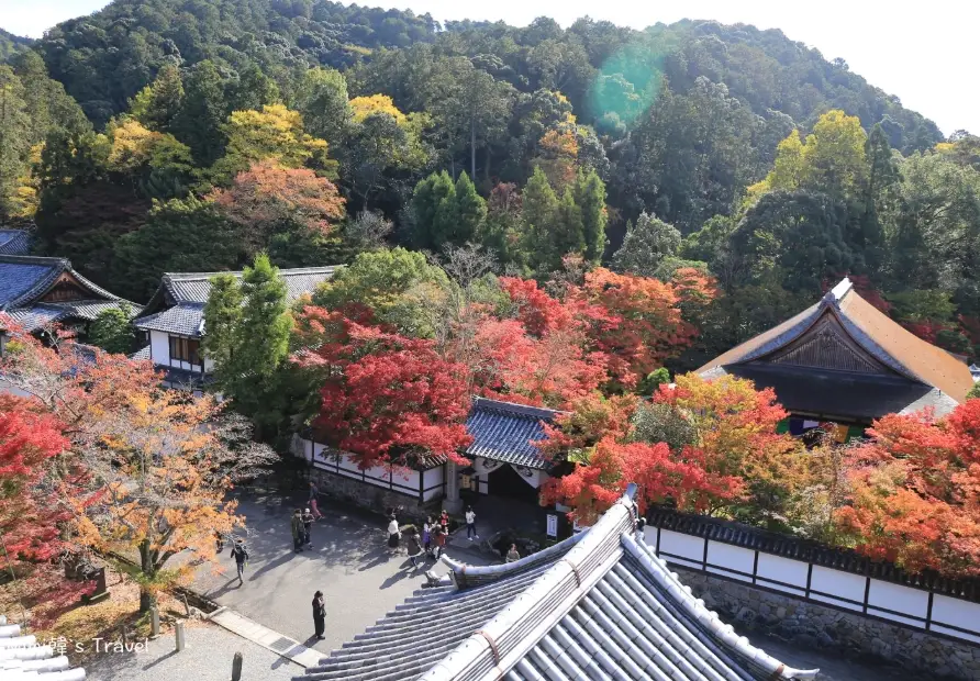 南禪寺導覽服務全攻略：預約步驟、參觀重點與實用貼士