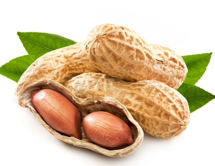 花生含鉀量高嗎？營養師解析補鉀技巧與飲食禁忌