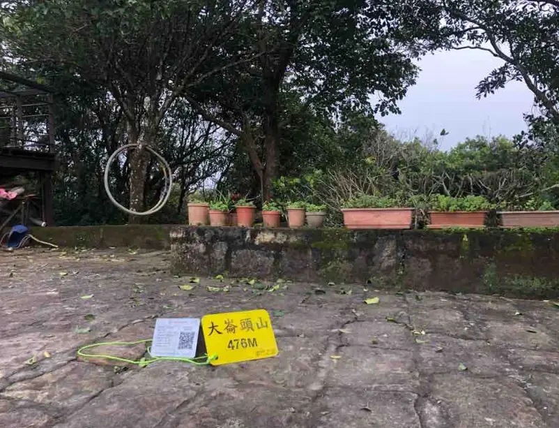 翠山步道健行攻略：台北近郊親子踏青與賞蝶秘境路線解析