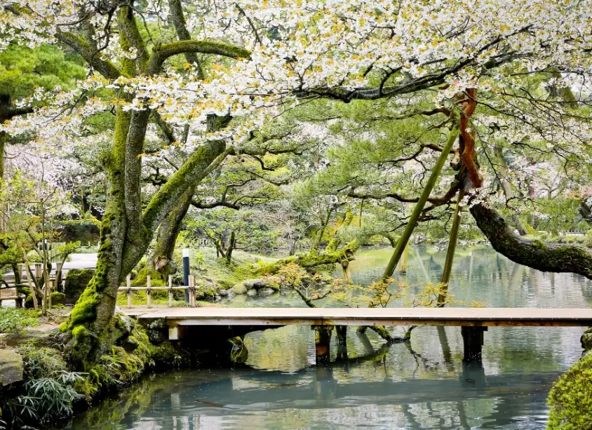 石川縣自由行全攻略：金澤、加賀、能登五天四夜深度行程規劃