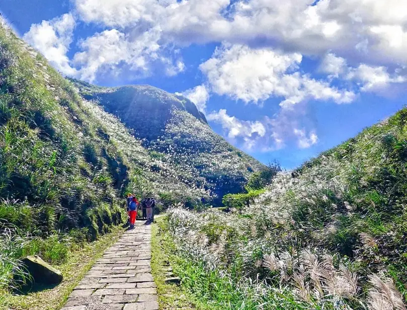 新北步道像在歐洲？精選3條免出國就能體驗的歐風森林步道