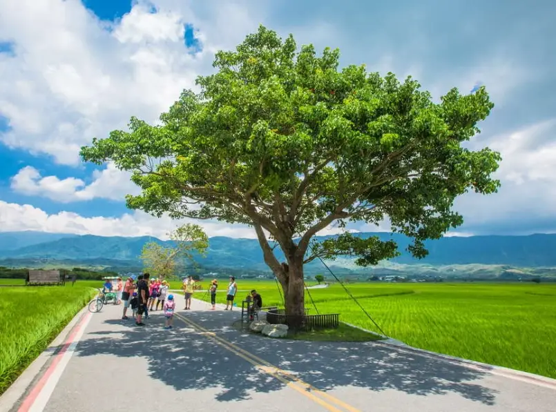 花東縱谷深度玩法全攻略：景點美食行程一次掌握
