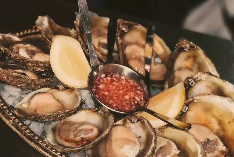 奧克蘭景點推薦