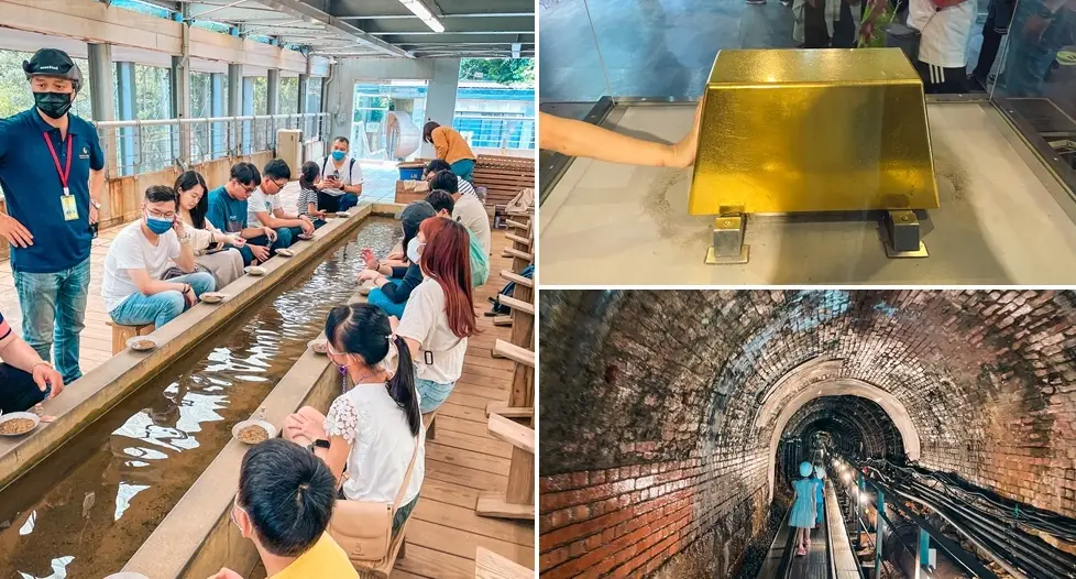 新竹以北一日遊攻略：經典路線、交通美食與避坑指南