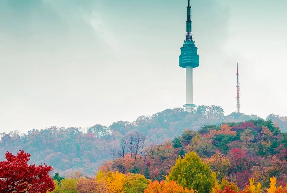 首爾塔值得上去嗎？親身體驗與完整分析指南