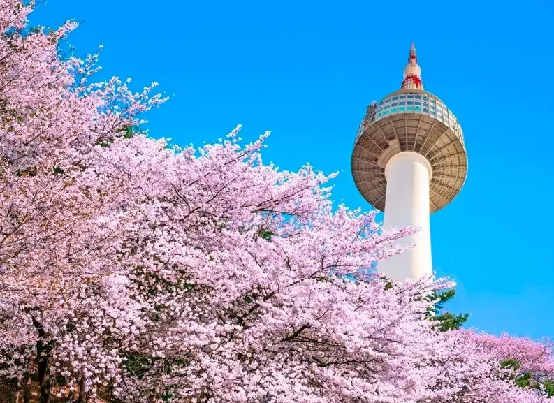 韓國5天行程預算