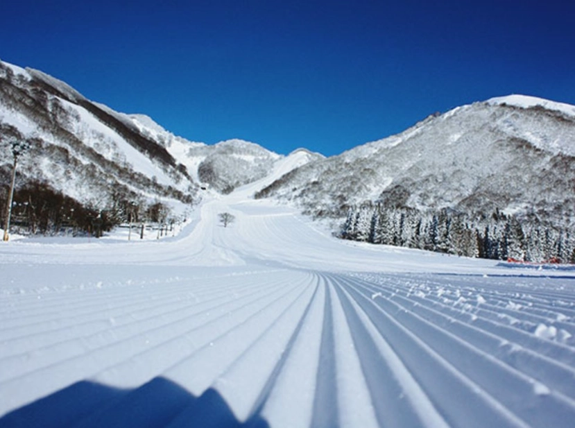 日本滑雪場推薦