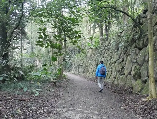台南大凍山紫雲殿參拜全攻略：交通、開放時間與必看景點