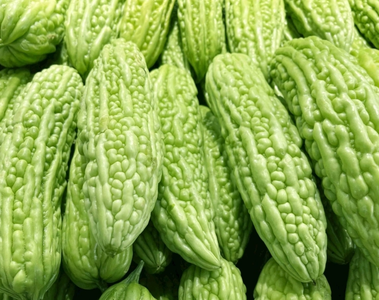 苦瓜處理