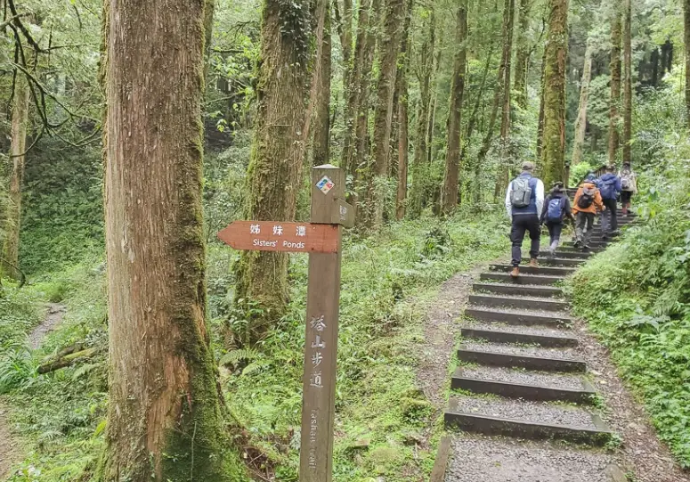 塔山步道木平台