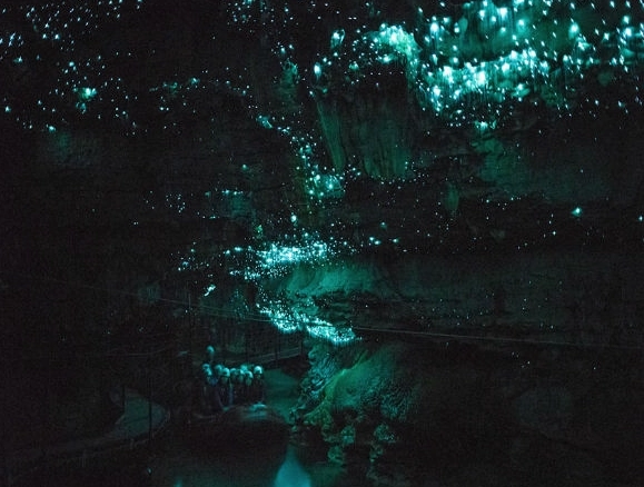 紐西蘭北島自駕遊路線：7天精華行程、私房景點與租車全攻略