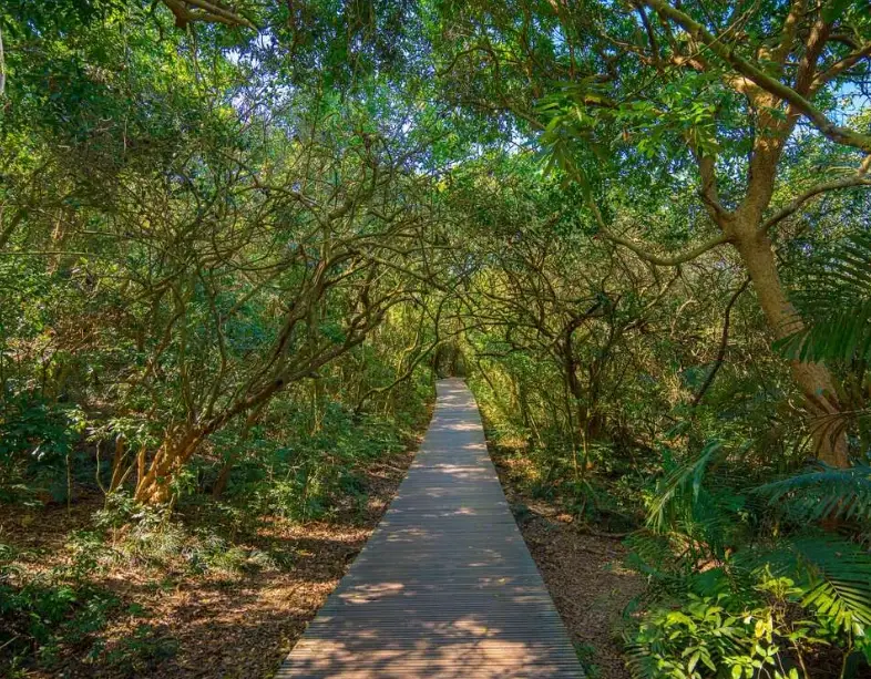 高雄戶外景點全攻略：必去清單、交通與省錢秘訣