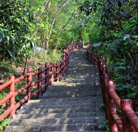 翠山步道整修全攻略：替代路線與行程規劃指南