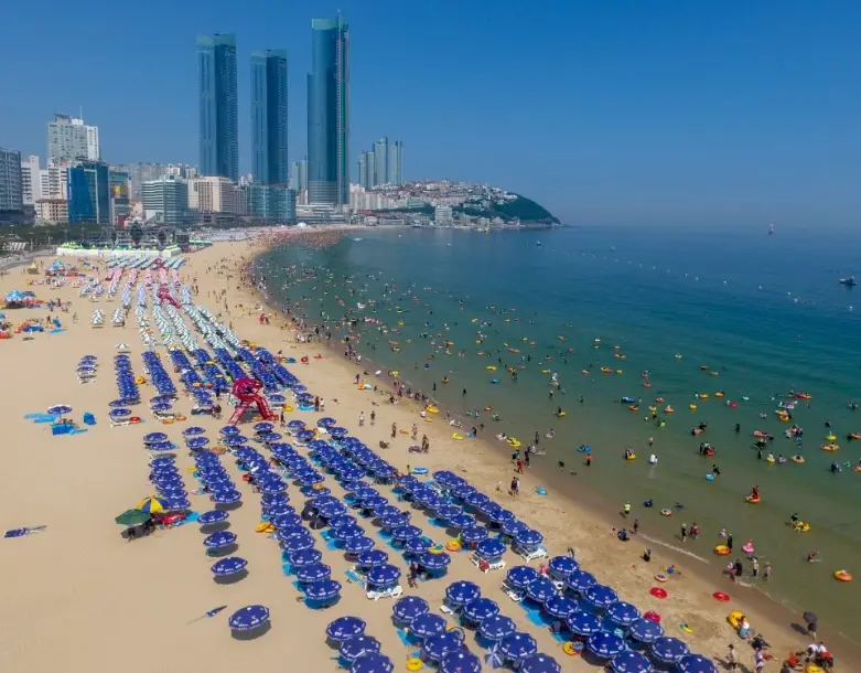 海雲台必逛景點與美食全攻略：釜山旅遊精華指南