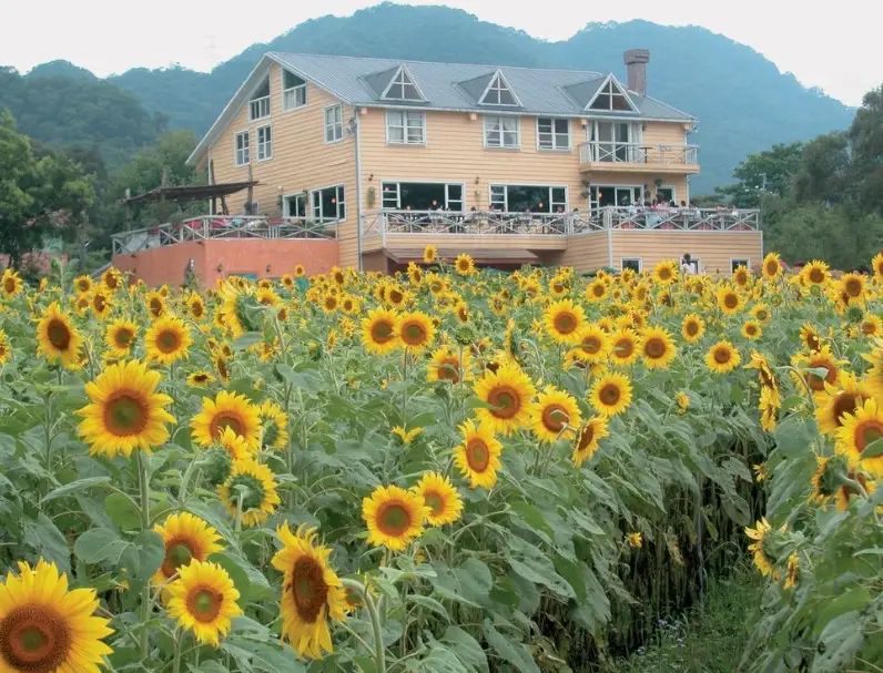 桃園室內景點推薦