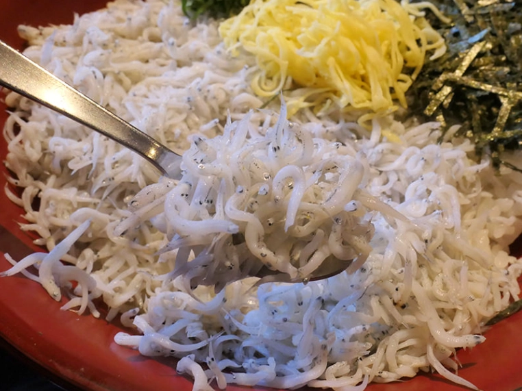 鎌倉生吻仔魚必吃指南：在地餐廳、隱藏吃法與實用攻略