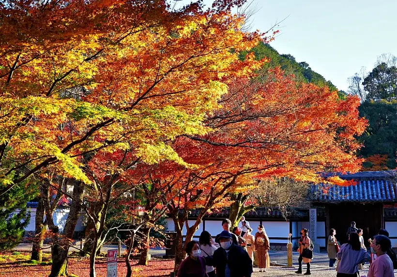 京都南禪寺庭園：枯山水與水路閣的靜心巡禮