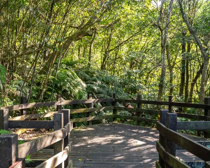 台北親水步道
