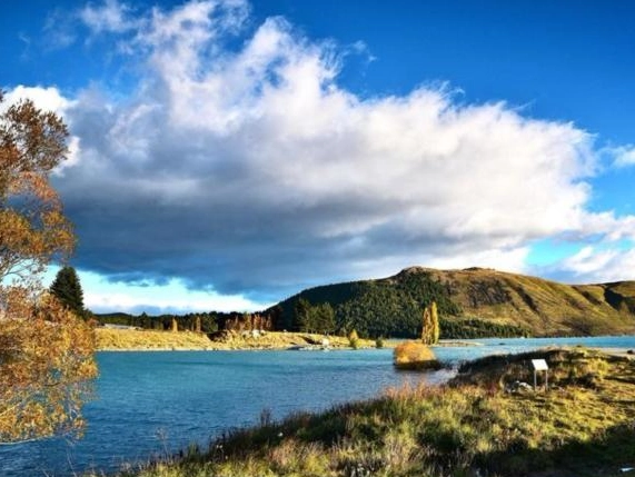 新西蘭租車攻略