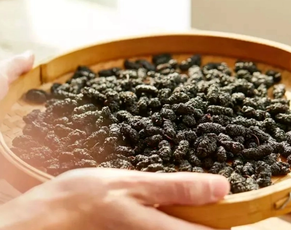 桑椹乾製作步驟