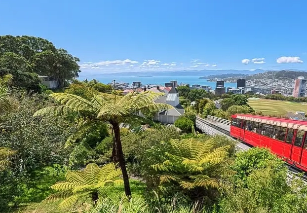 新西蘭租車攻略