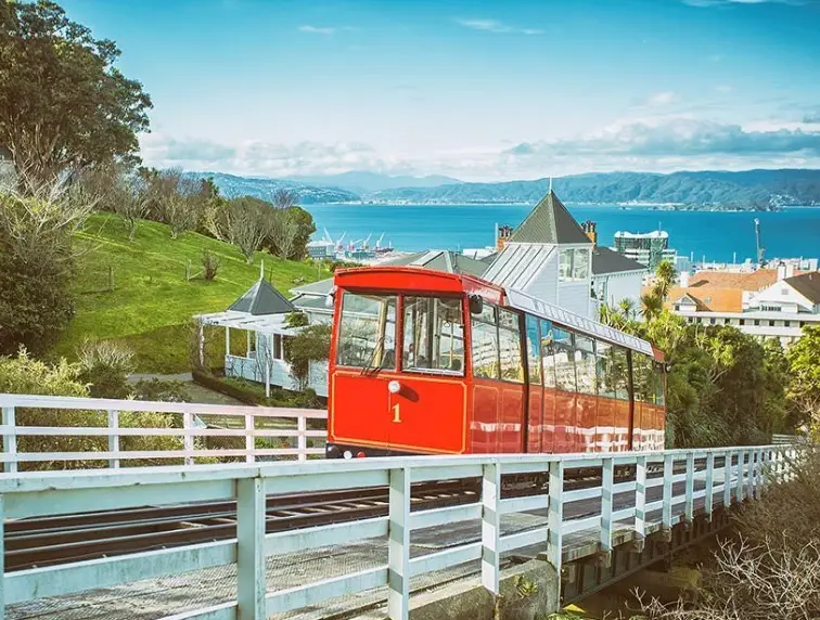 威靈頓纜車搭乘全攻略：交通、票價、必看景點與隱藏玩法