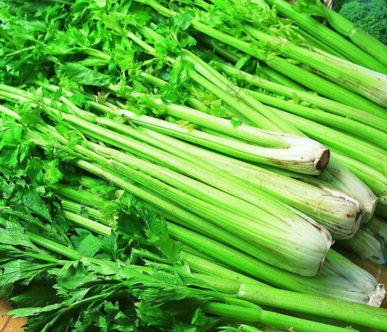 芹菜功效與禁忌完整解析：營養師教你健康吃法與注意事項