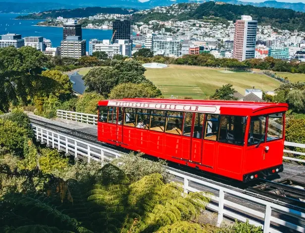 威靈頓纜車交通