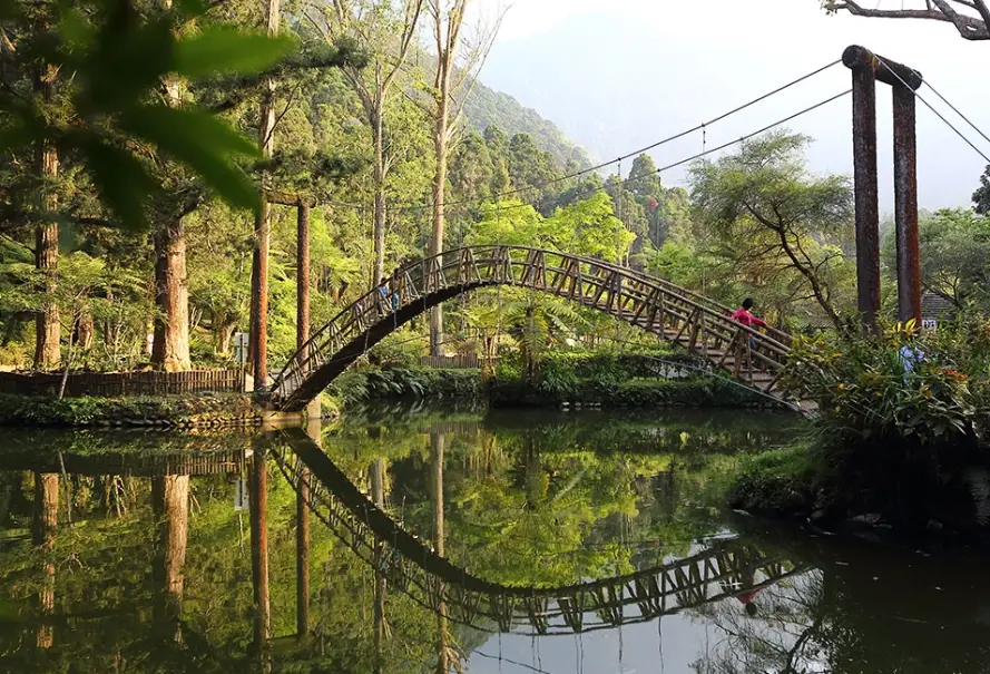 溪頭私房景點全攻略：隱藏森林步道與秘境探索