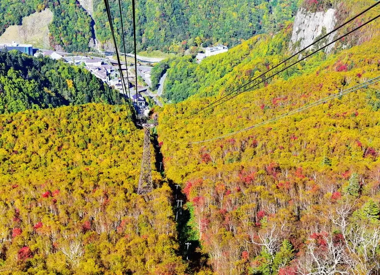 北海道紅葉情報：行前必讀攻略與私房景點推薦