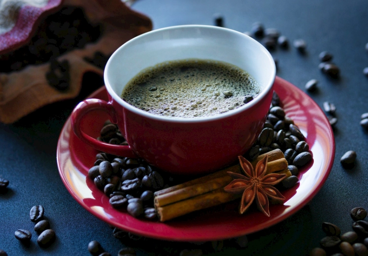 台北車站深夜咖啡廳推薦：夜貓族與加班族的安靜去處