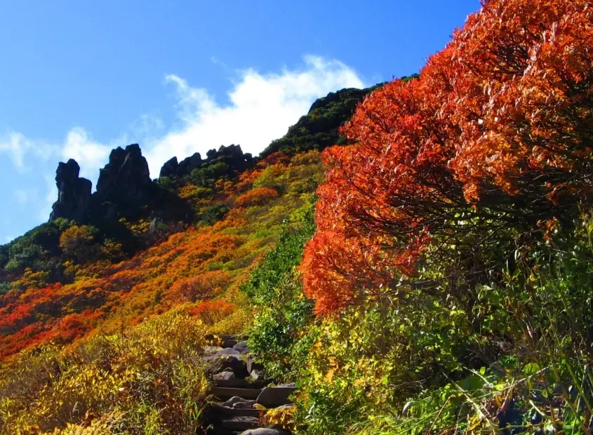 北海道紅葉景點