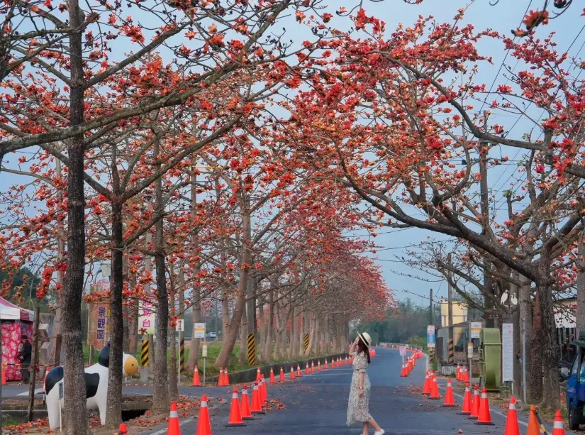 白河景點美食全攻略：蓮花之鄉的深度漫遊與必吃清單