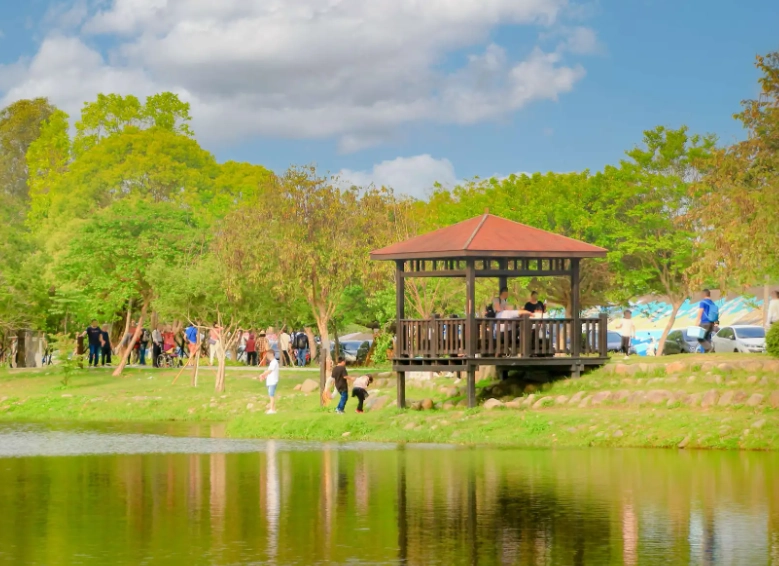 桃園私房景點全攻略：避開人潮的秘境清單