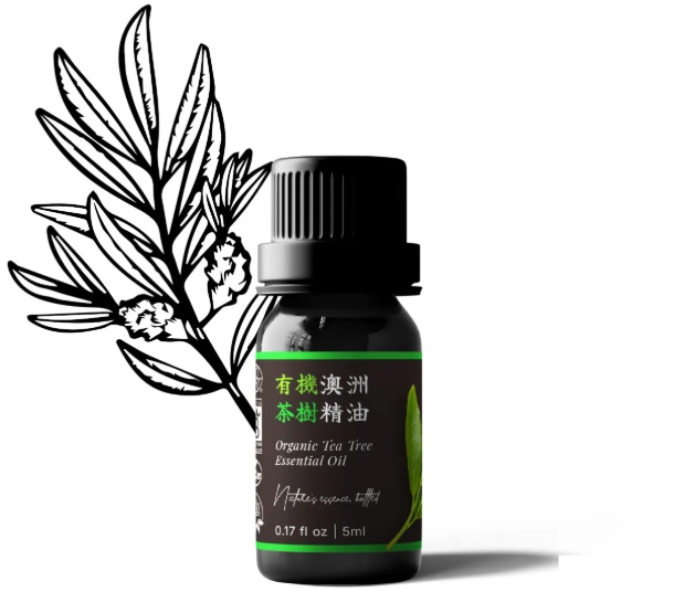 茶樹精油品牌推薦