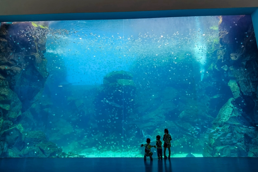 桃園親子景點推薦：帶孩子放電的絕佳去處清單與實用攻略