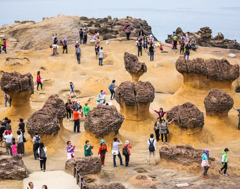 台北到野柳交通