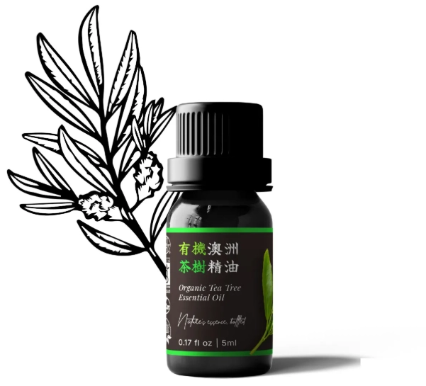 茶樹精油使用