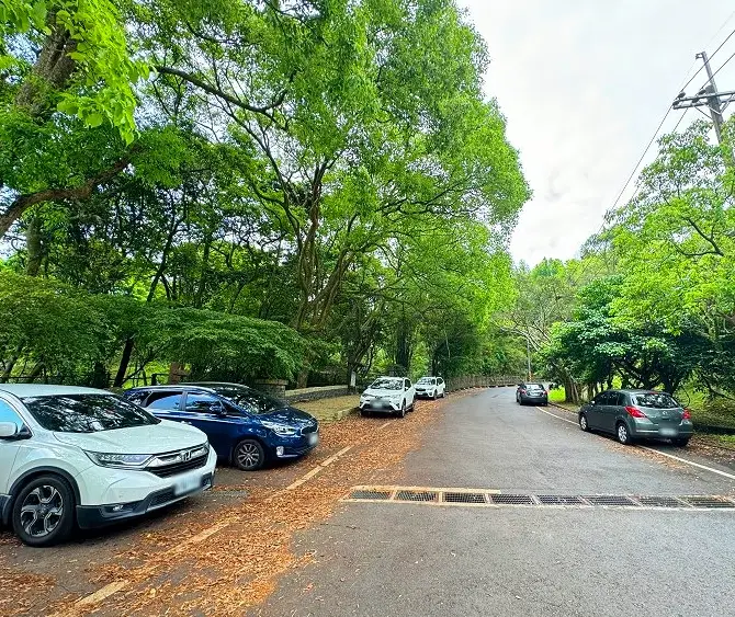 碧溪步道與太陽廣場：台北近郊親子同遊的森林步道與觀景首選