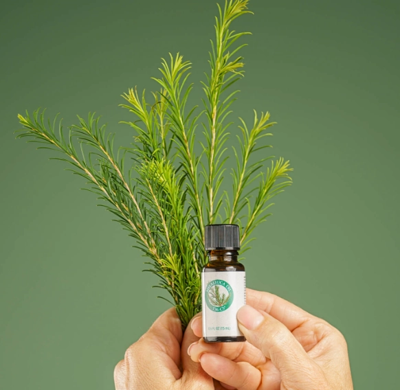 茶樹精油品牌推薦