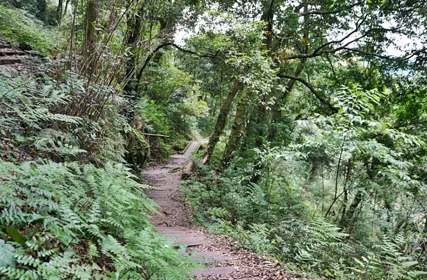 台南登山步道