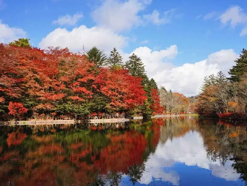 名古屋到長野交通