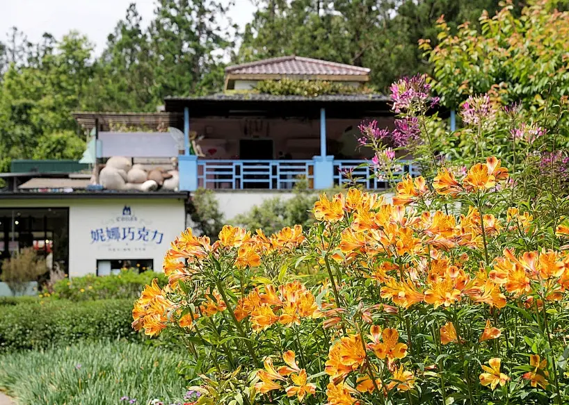 白马一日游行程