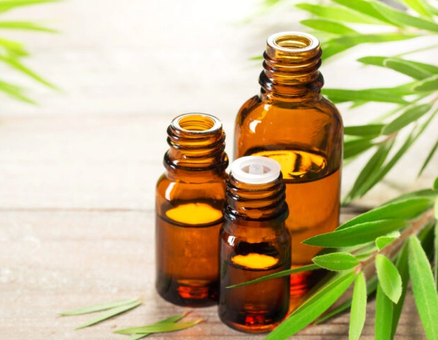 茶樹精油 使用方法
