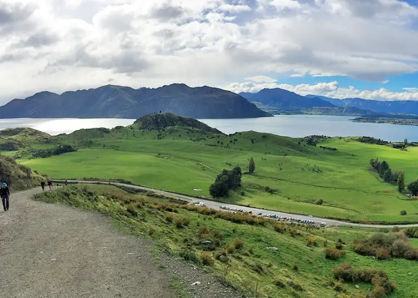 紐西蘭農夫市集